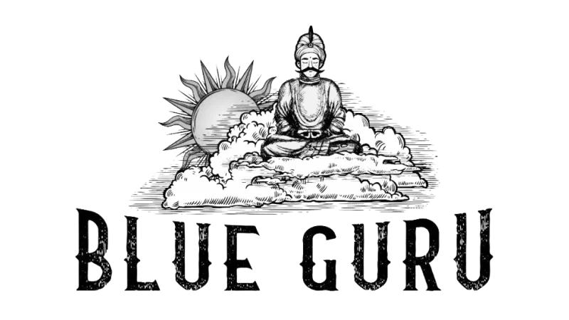 BLUE GURU GAMES